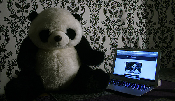 panda internet